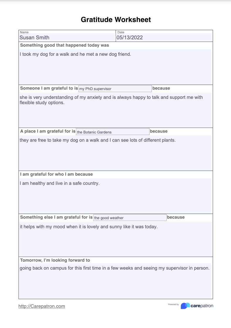 Gratitude Worksheet Example Free PDF Download